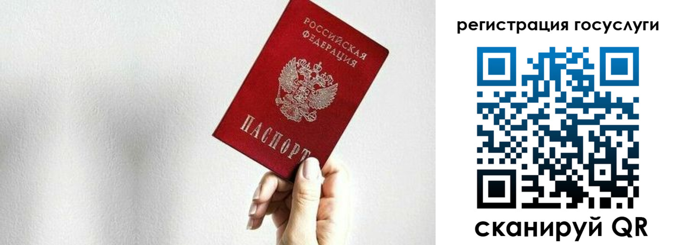 прописка гарантия в Камешково